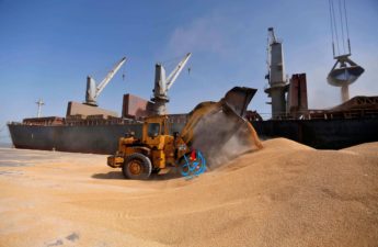 تونس من الدول الإفريقية التي تواجه أسوأ اضطراب في واردات الحبوب