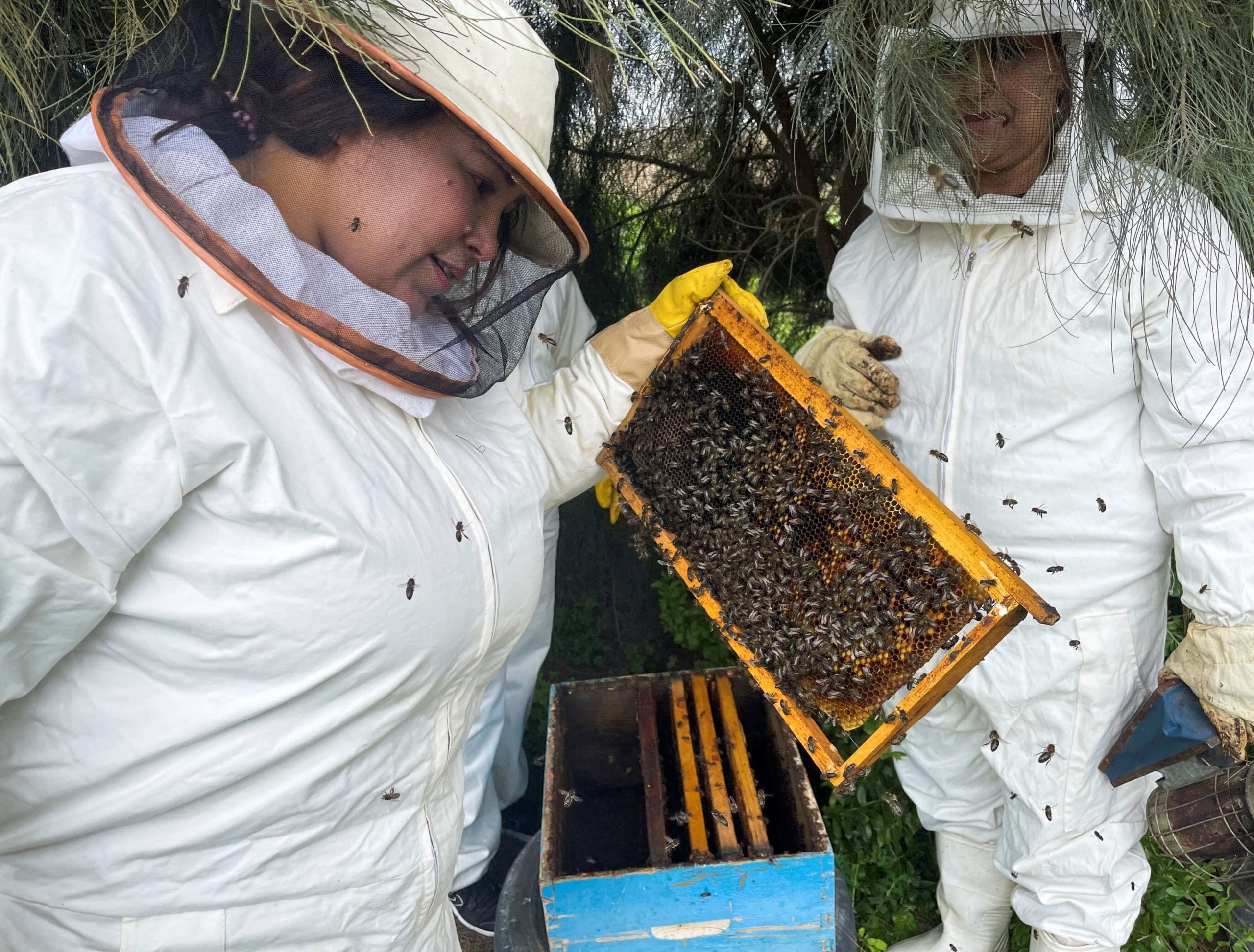 مريم الشارني صاحبة مشروع تربية النحل