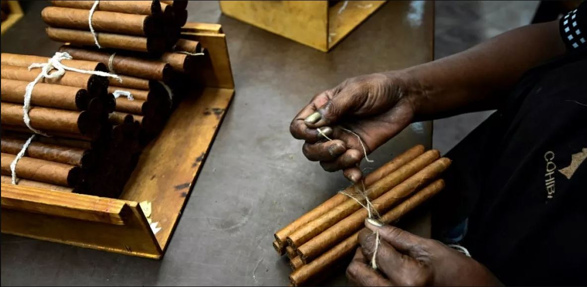 السيجار الذي كان يدخنه الزعيم الكوبي الراحل فيديل كاسترو