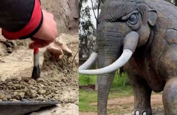 فيل منقرض عمره 12 ألف عام