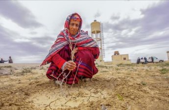 العاملات بقطاع الفلاحة في تونس