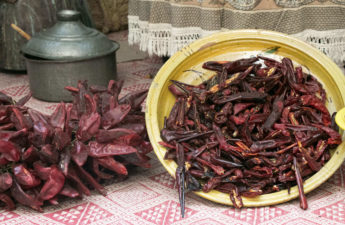 مهرجان الهريسة بمدينة نابل التونسية