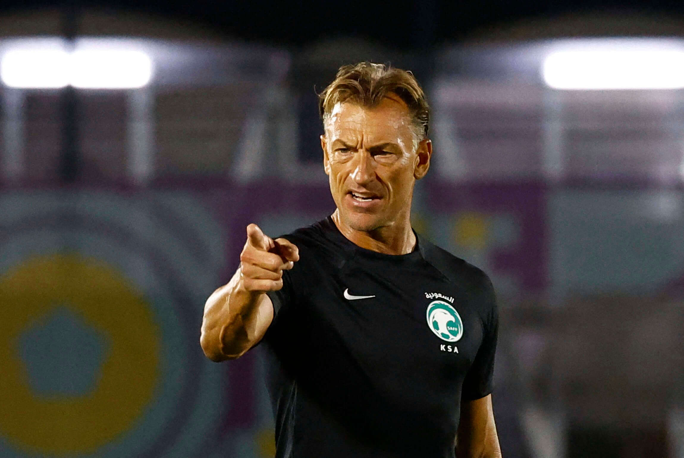 المدرب الفرنسي هيرفيه رونار
