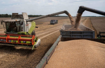 تراجع مؤشر أسعار الغذاء العالمي رغم زيادة أسعار الحبوب