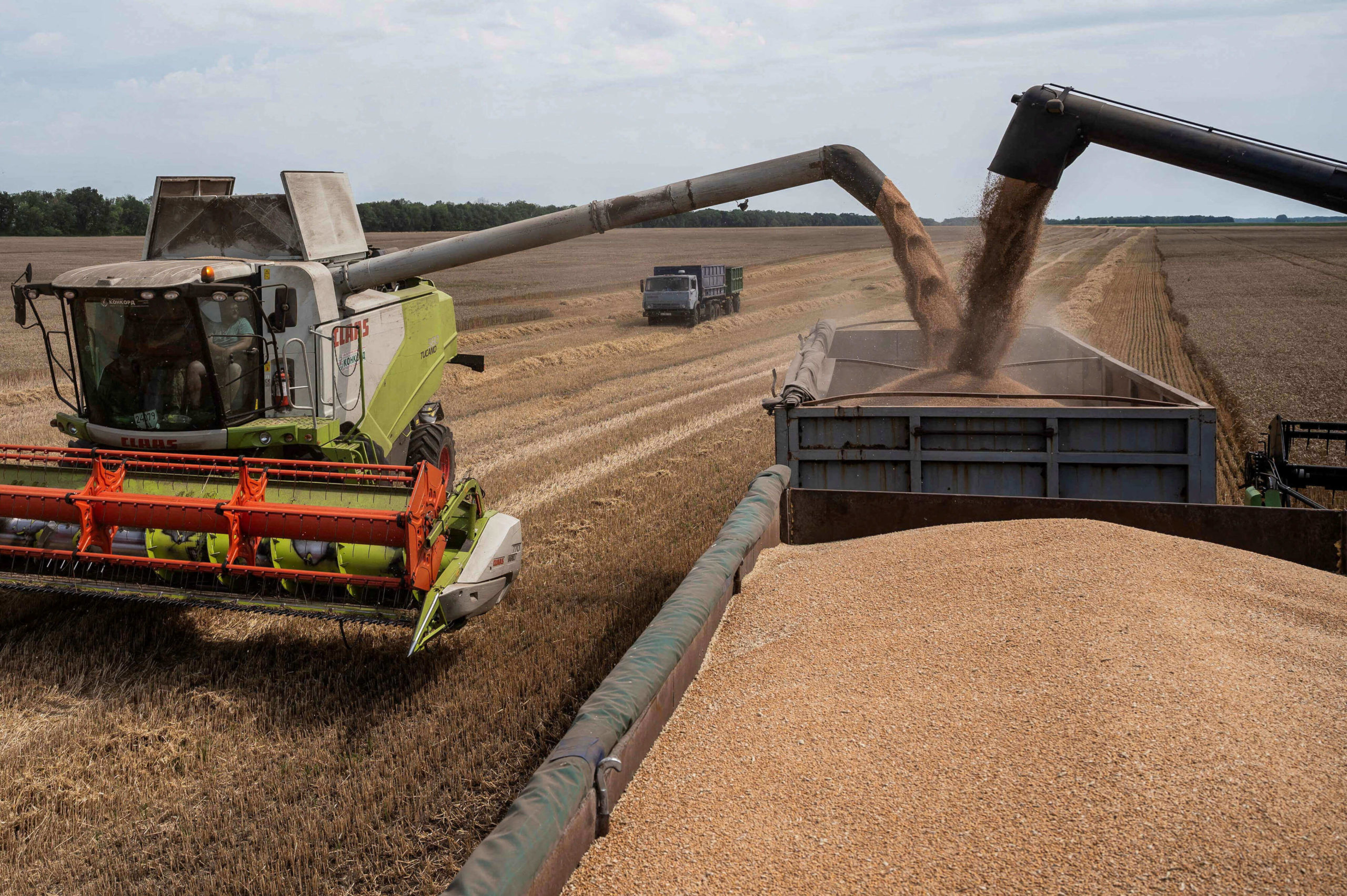 تراجع مؤشر أسعار الغذاء العالمي رغم زيادة أسعار الحبوب