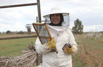 مربية النحل التونسية هالة بوبكر