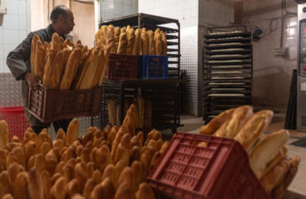 إيقاف إنتاج الخبز في جميع المخابز العصرية في تونس
