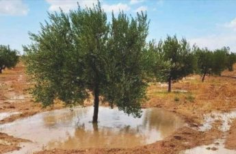 أمطار شهري ماي وجوان