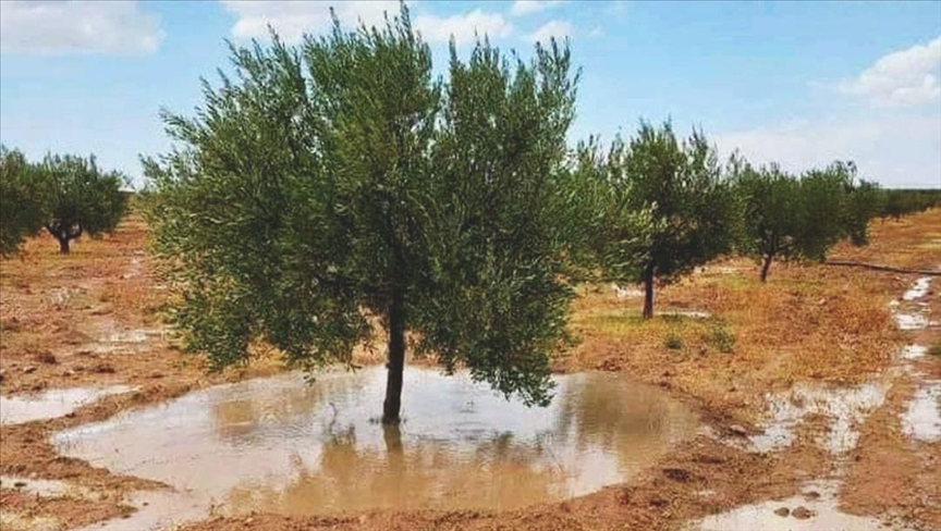 أمطار شهري ماي وجوان