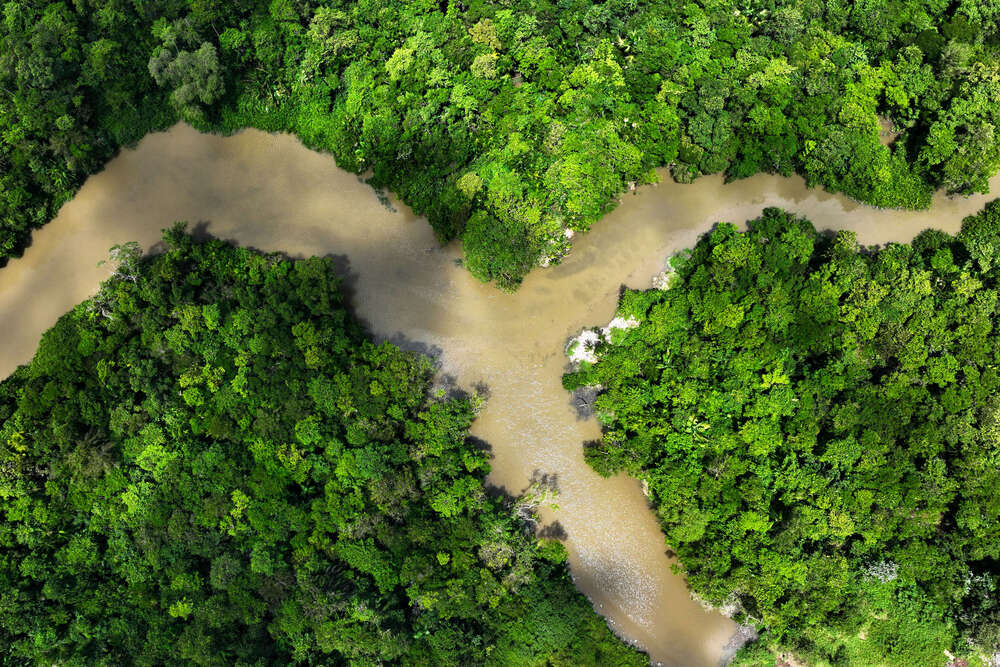 قمة إقليمية في البرازيل لإنقاذ الأمازون