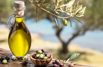 زيت الزيتون البكر الممتاز المعلب