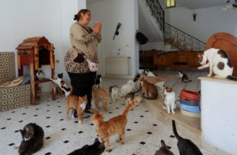 قصة تونسية تكرس حياتها لرعاية الحيوانات الأليفة