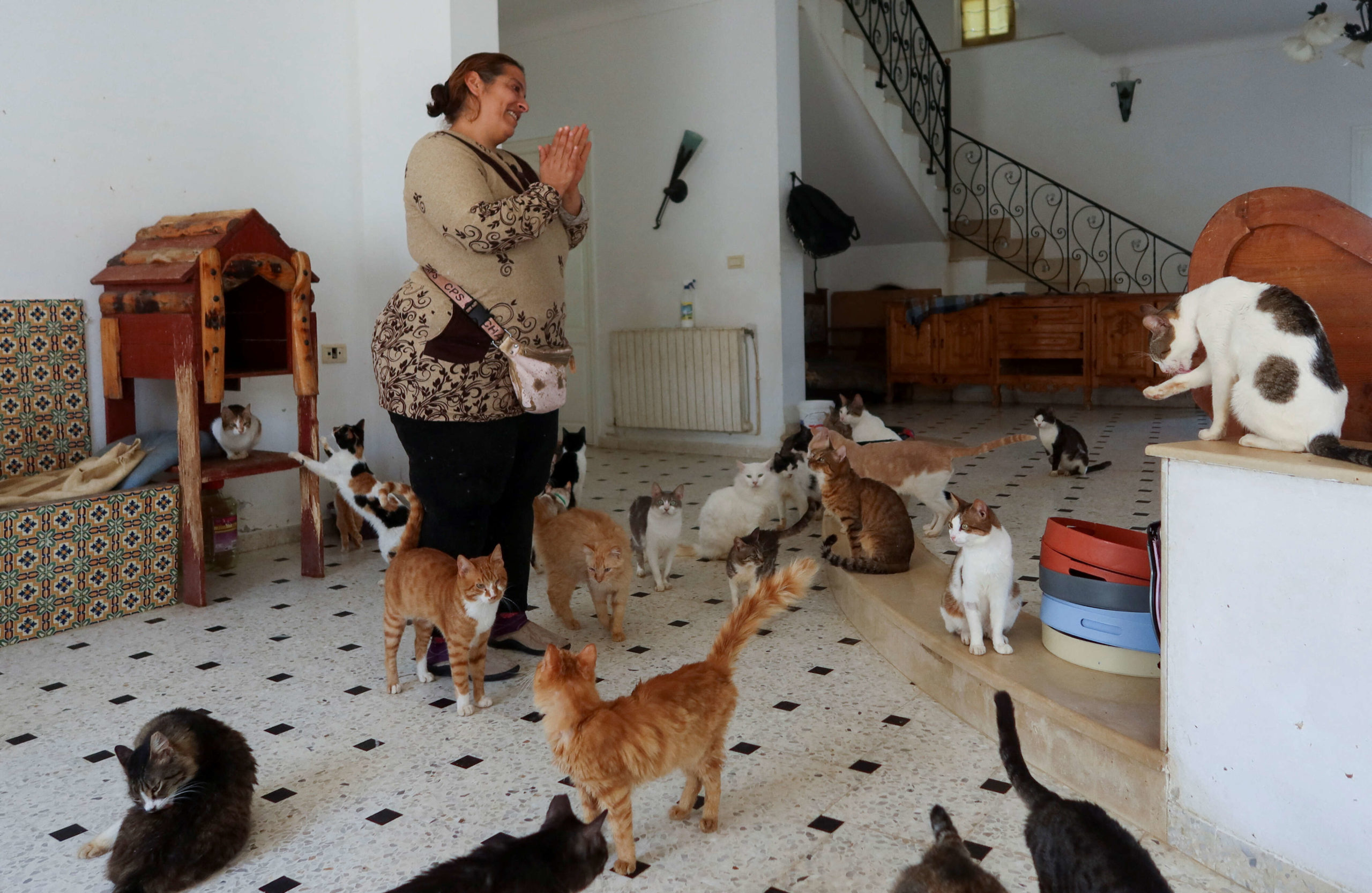 قصة تونسية تكرس حياتها لرعاية الحيوانات الأليفة