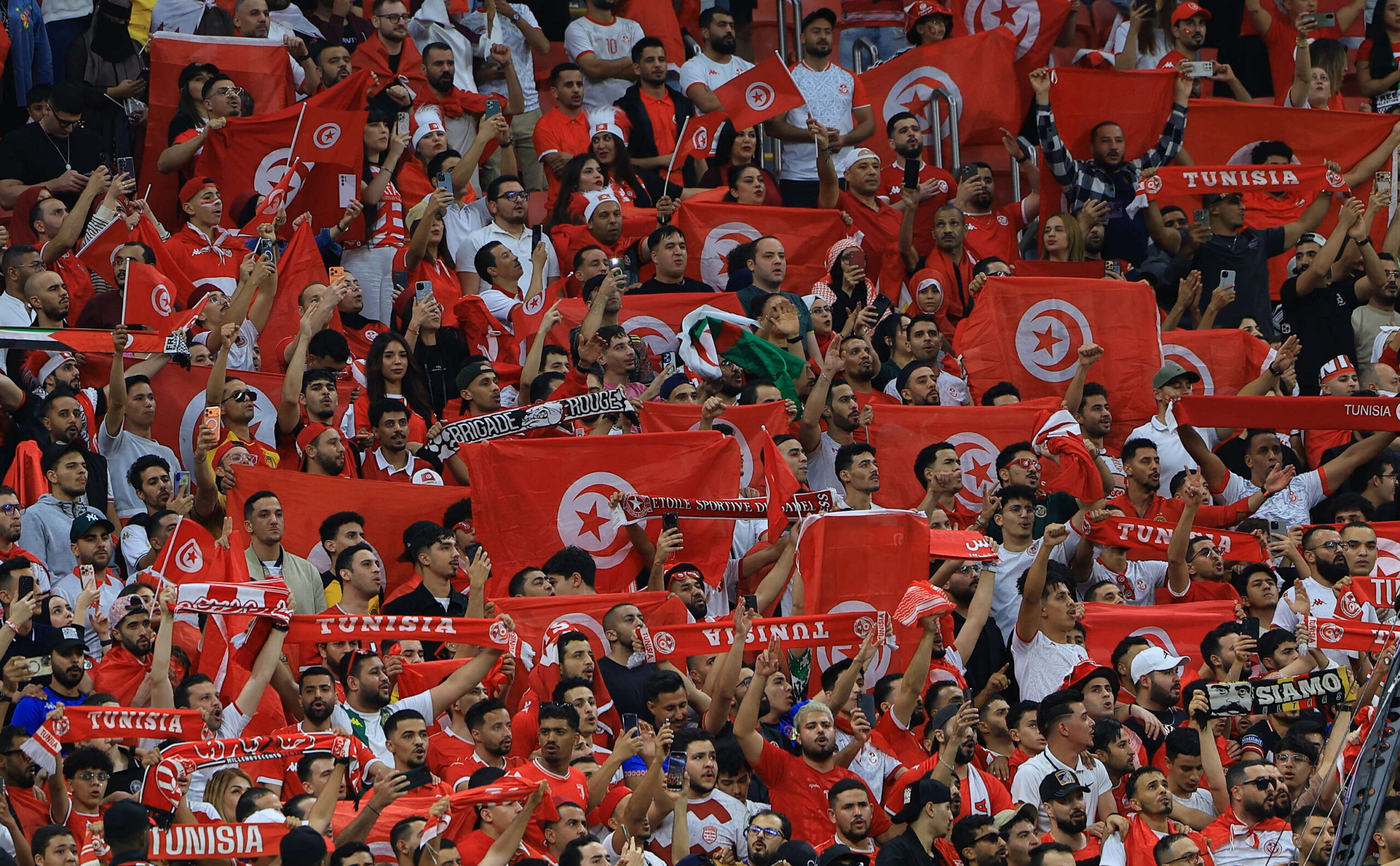 جمهور مباراة قطر وتونس