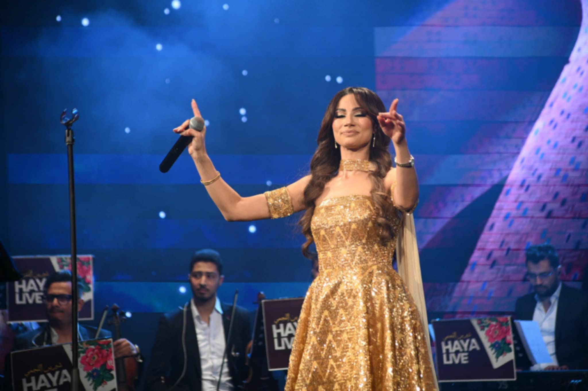 الفنانة شيرين اللجمي
