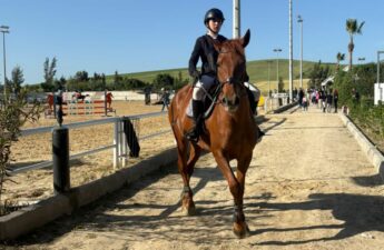بطولة الأساتذة Masters للفروسية بتونس